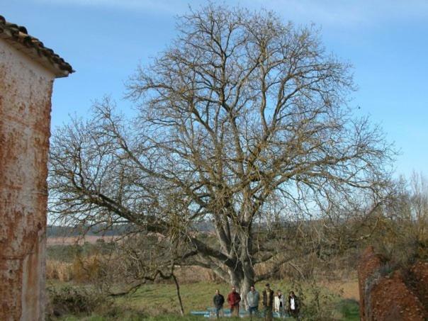 Casa Rural Parajes Del Jucar Casas de Benitez Luaran gambar